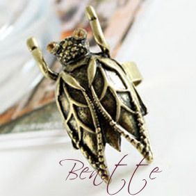Cicada