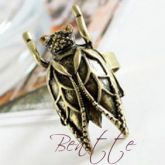 Cicada